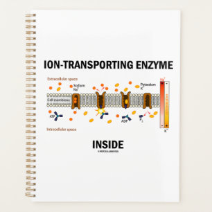 Ion-Transporting Enzyme Inside Active Transport Planner