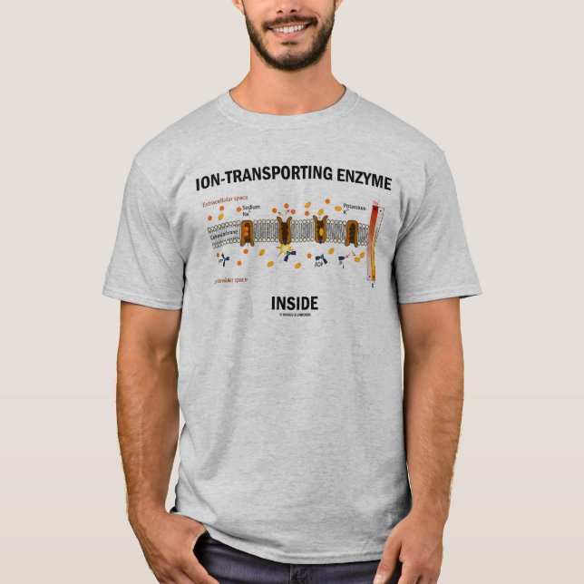 Ion-Transporting Enzyme Inside (Active Transport) T-Shirt (Front)