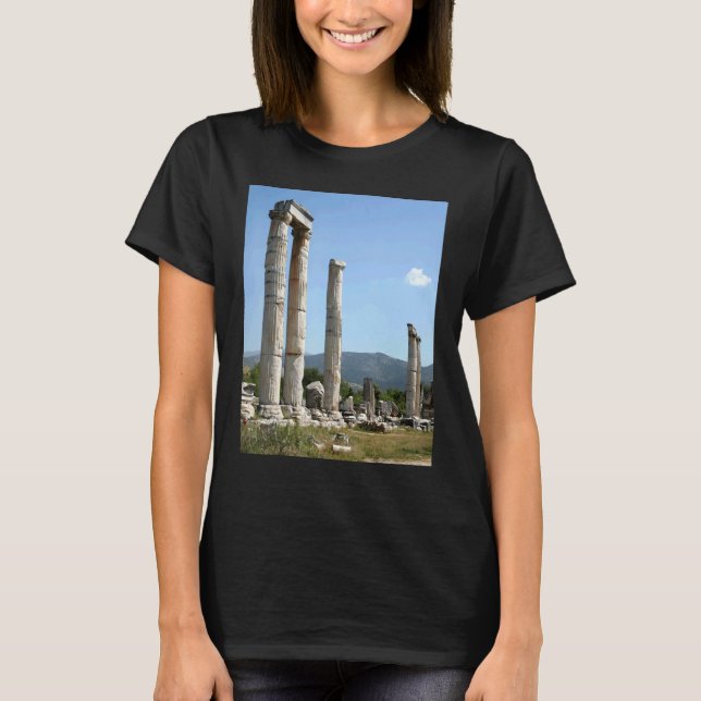 Ionic Columns Of The Temple Of Aphrodite Aphrodisi T-Shirt (Front)