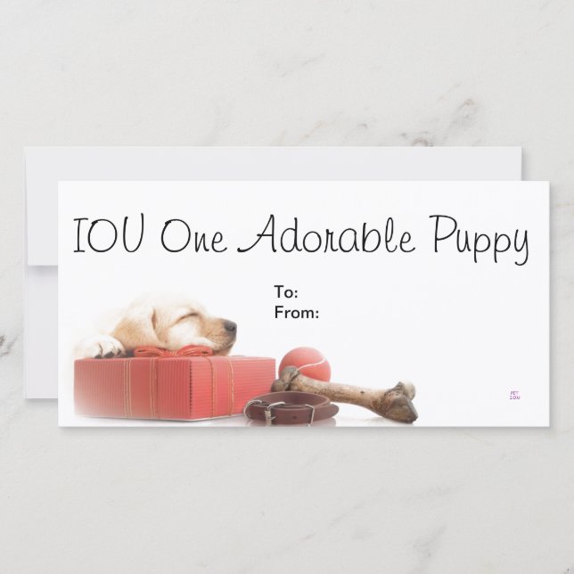 IOU One Adorable Puppy (Front)