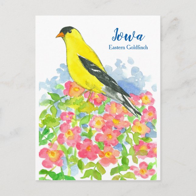 Iowa Eastern Goldfinch Pink Wild Roses Postcard (Front)