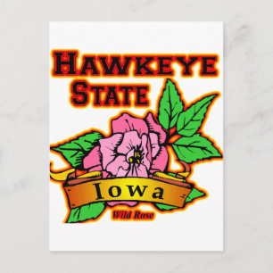 Iowa Hawkeye State Wild Rose Postcard