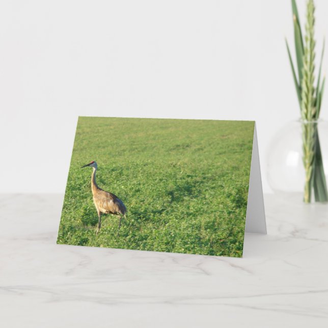Iowa Sandhill Crane Card (Front)