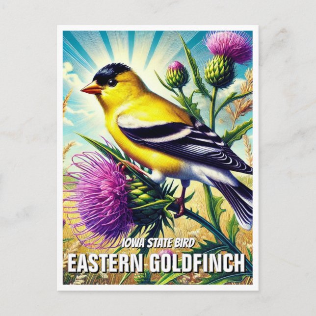 Iowa State Bird Eastern Goldfinch Postcard (Front)