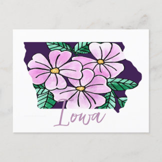 Iowa State Flower Postcard
