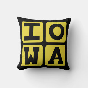 IOWA State Iowan Hawkeye Des Moines Cedar Rapids Cushion