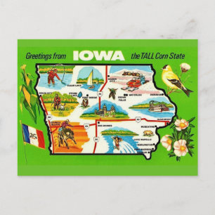 Iowa - Tall Corn State Postcard