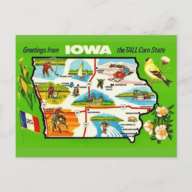 Iowa - Tall Corn State Postcard (Front)