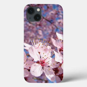 iPAD 2/3/4 cases Pink Spring Flower Tree Blossoms