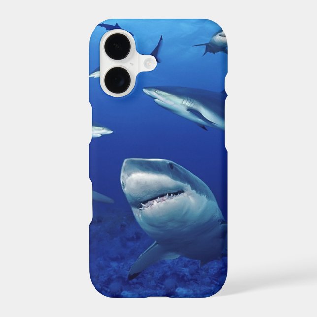 iPhone 11 Case-Sharks  (Back)