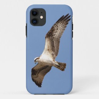 iPhone 11 case with osprey