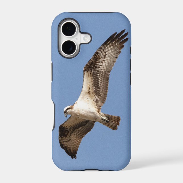 iPhone 11 case with osprey (Back)