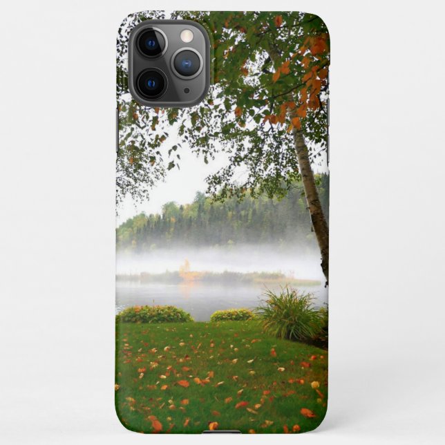 Iphone 11 pro Max cases (Back)