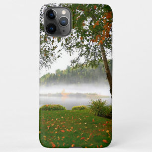 Iphone 11 pro Max cases