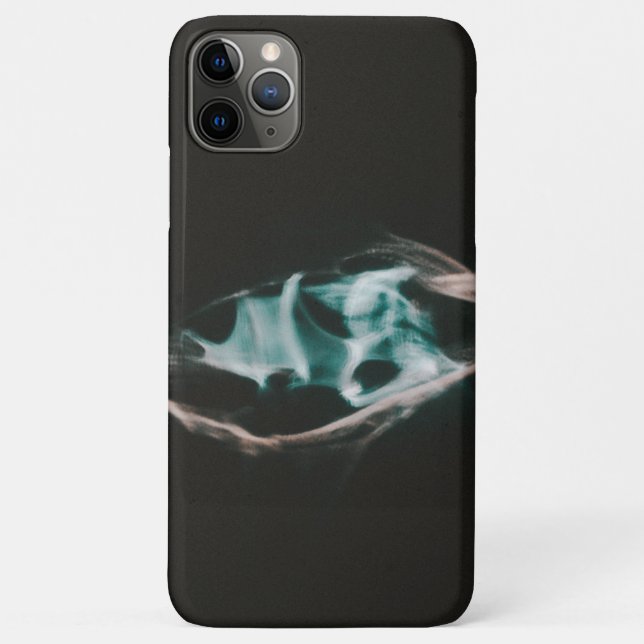 iphone 11 Pro Max cases  (Back)