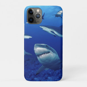 iPhone 11Pro Case-Sharks   11 Pro Case