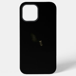 iPhone 12 pro max Case