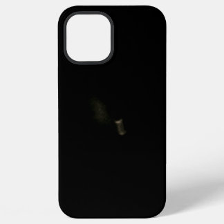 iPhone 12 pro max Case