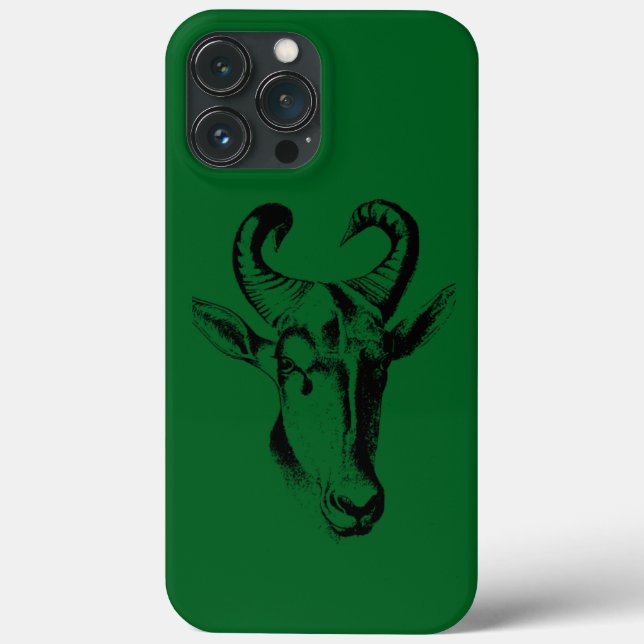 iPhone 13 pro max case (Back)