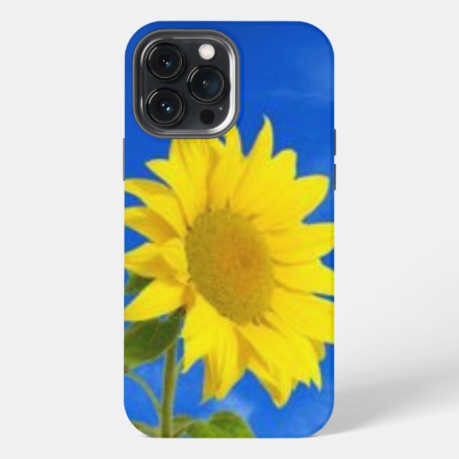 iPhone 13 pro max case (Back)