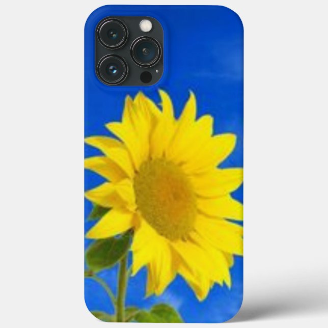 iPhone 13 pro max case (Back)