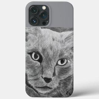 iPhone 13 pro max case