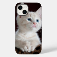 iphone 14 cases cat love