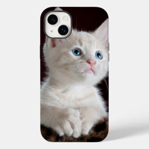 iphone 14 cases plus cat love 