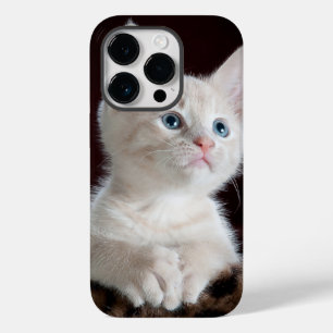 iphone 14 cases pro cat love