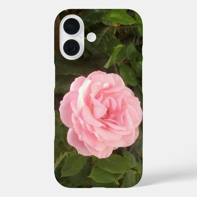 iPhone 16 case (Back)