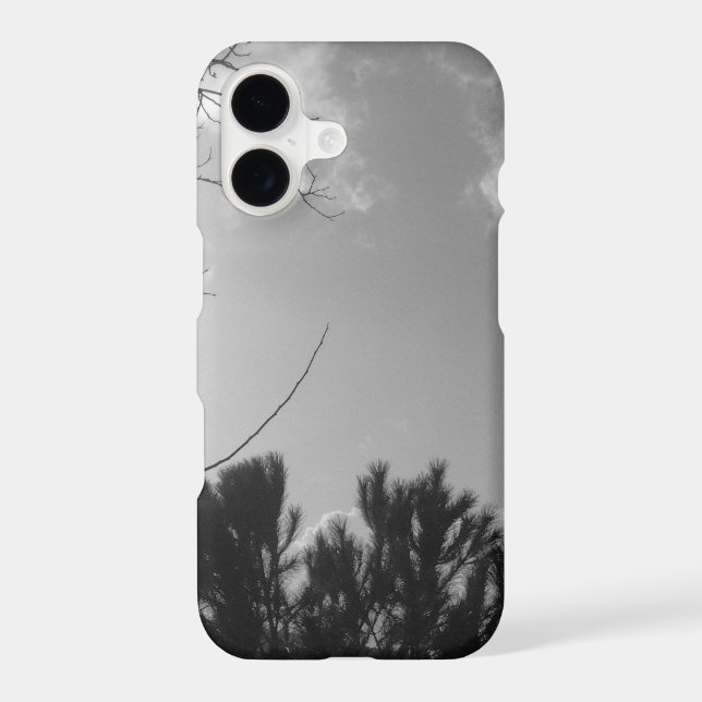 iPhone 17 case  (Back)