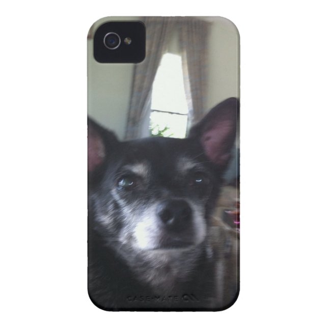 iPhone 4/4S Case from Zazzle Instant (Back)