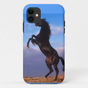 iPhone 5 Barely There Case Horse Power