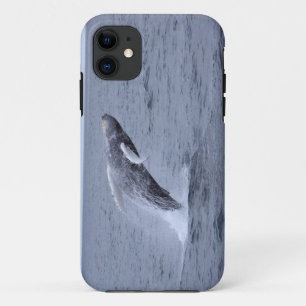 Iphone 5 Case-mate Humpback Whale breaching iPhone 11 Case