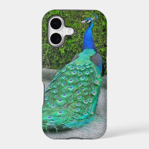 iPhone 5 Case, "Proud Peacock"