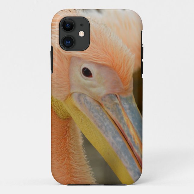 IPhone 5 Case Watching You Pelican (Back)