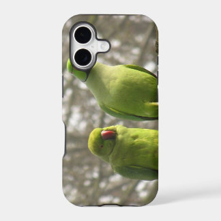 iPhone 5 case with curious parakeets