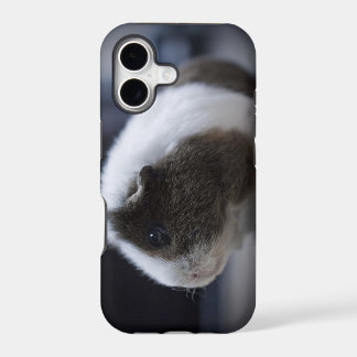 iPhone 5 case with cute guinea pig