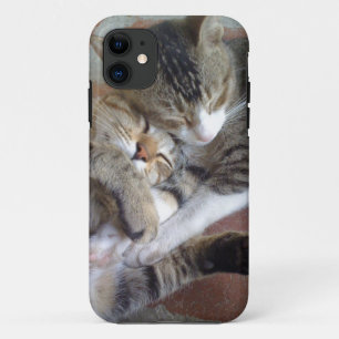 iPhone 5 case with kittens napping