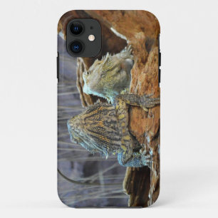 IPhone 5 Case with two curious lizards