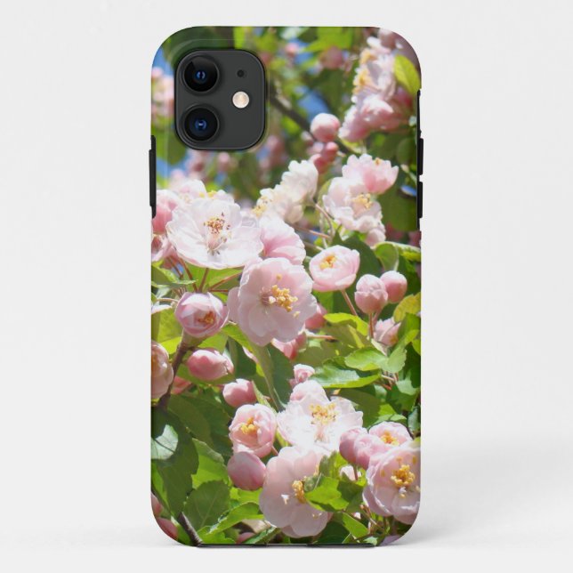 iPhone 5 cases Spring Pink Flower Blossoms custom (Back)
