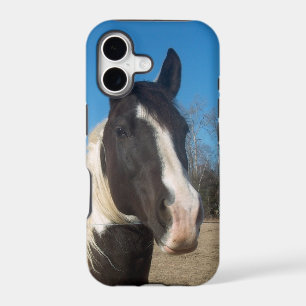 iPhone 5 Horse Case