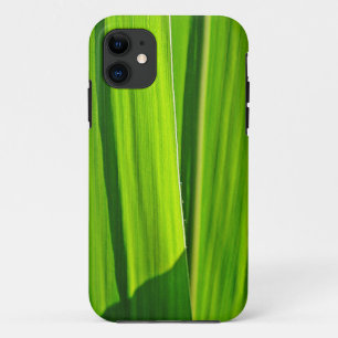 iPhone 5 Hülle grüne Maisblätter 11 Case