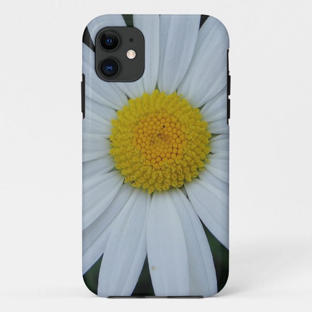 iPhone 5 Hülle weisse Margeritenblüte Case-Mate iPhone Case (Back)