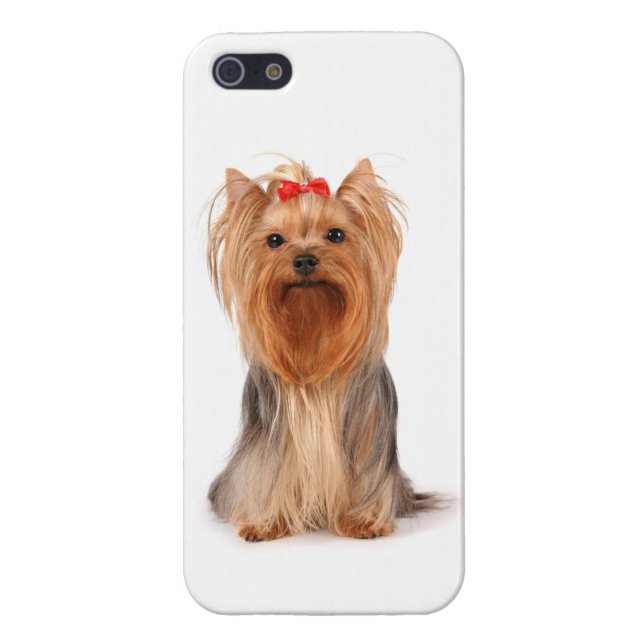 iPhone 5 Love Yorkshire Terrier Puppy Dog Case Case For iPhone 5/5S (Back)