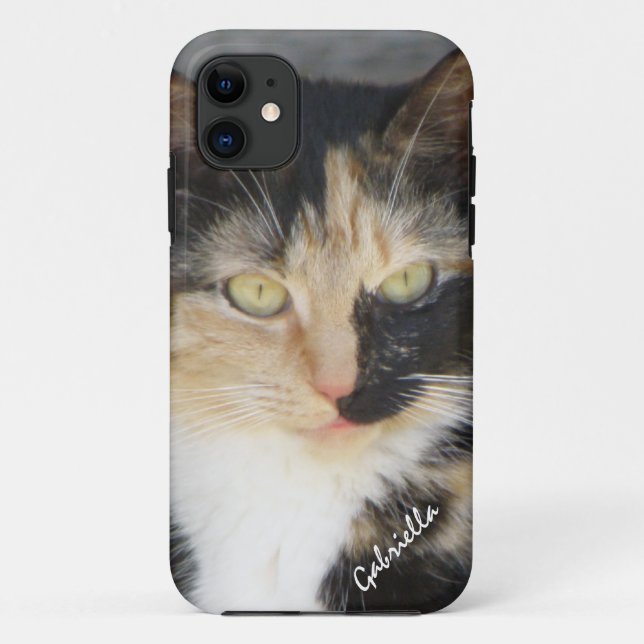 iPhone 5: Personalised Calico Kitty Case (Back)