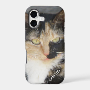 iPhone 5: Personalised Calico Kitty Case