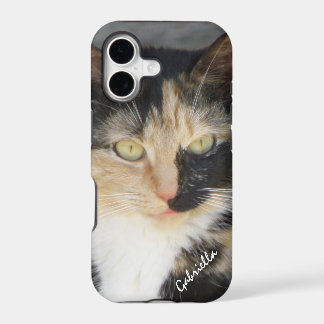iPhone 5: Personalised Calico Kitty Case