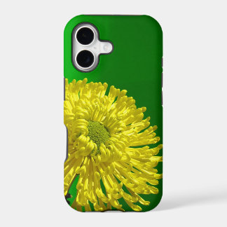 iphone 5s Case