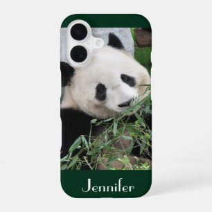 iPhone 6 Case Giant Panda Dark Green Background